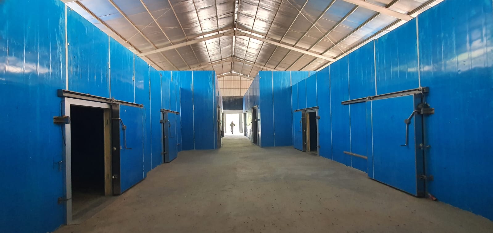 Produk Air Blast Freezer